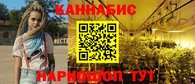 прущие крисы Гудермес