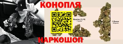 прущие крисы Гудермес