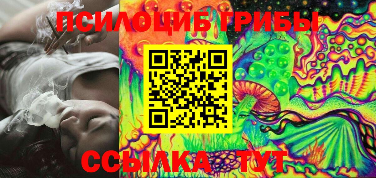 Галлюциногенные грибы Psilocybine cubensis  Вход с VPN  Верхняя Пышма  Галлюциногенные грибы мицелий 